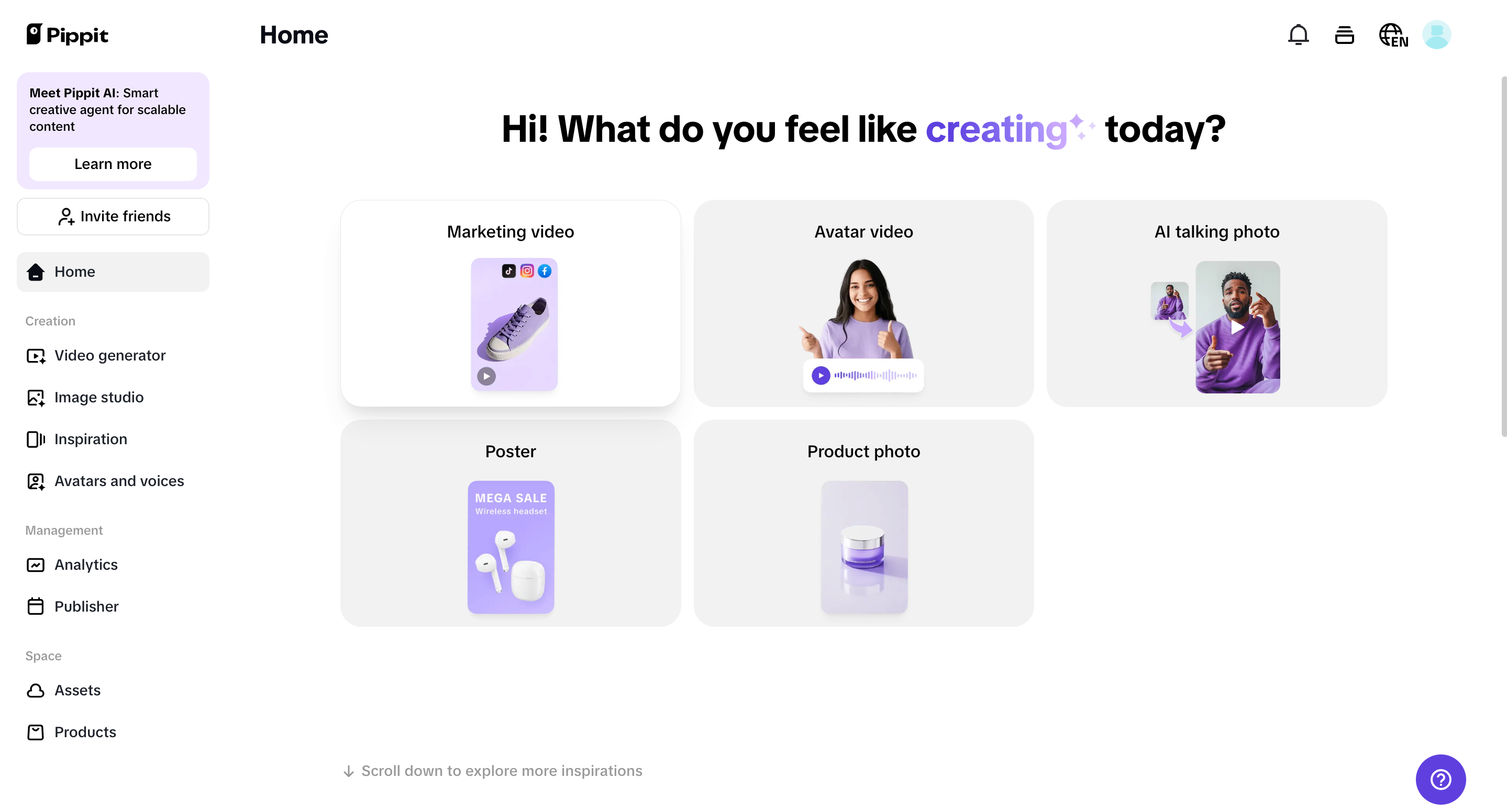 Pippit interface