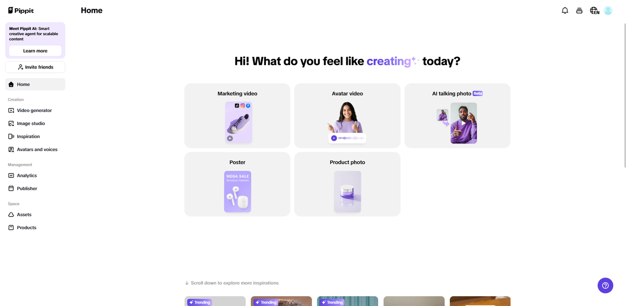 Pippit interface