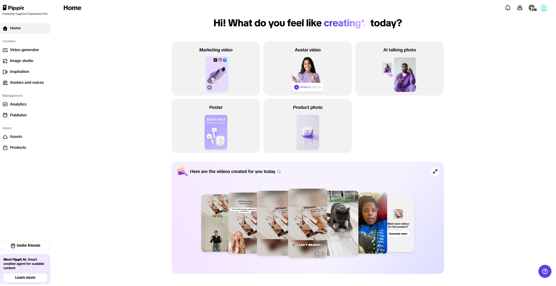 Pippit interface