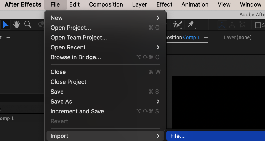 Import the clip
