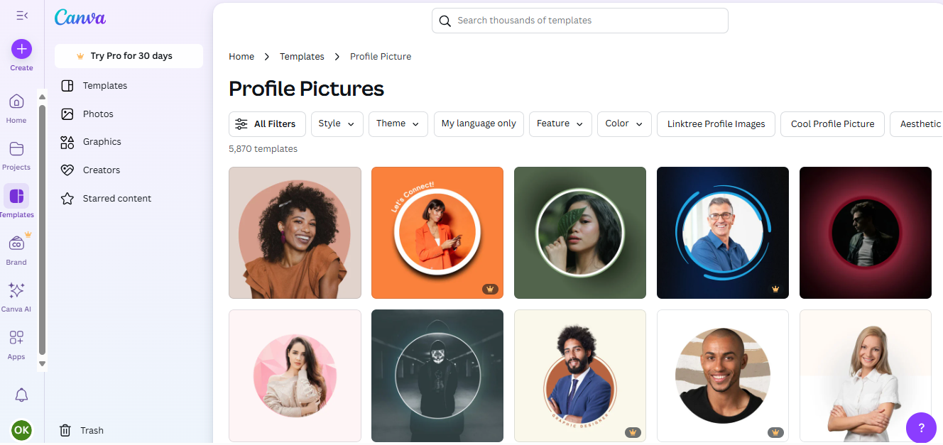 Canva interface