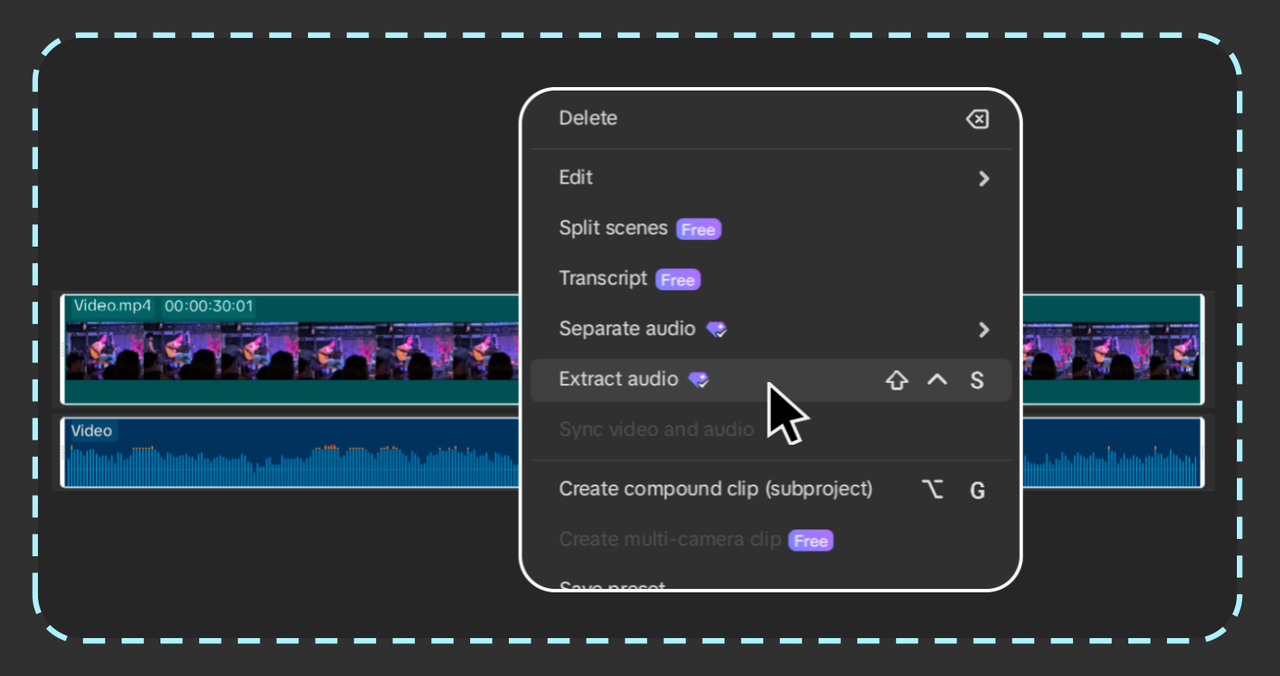 Extract the audio