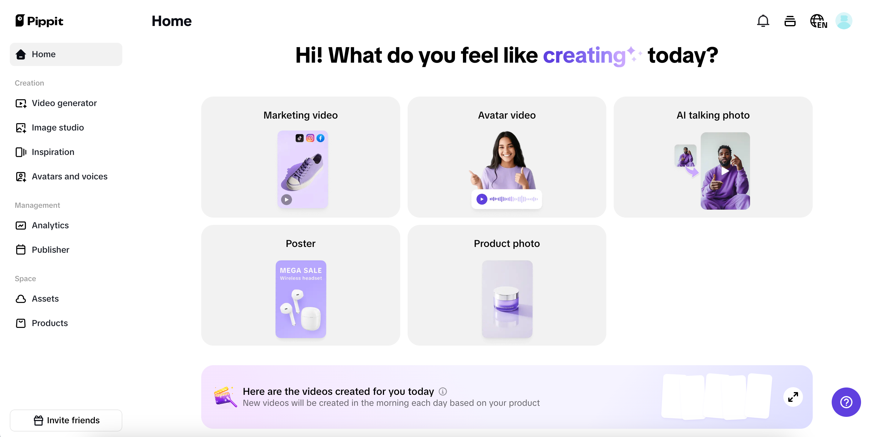 Pippit interface