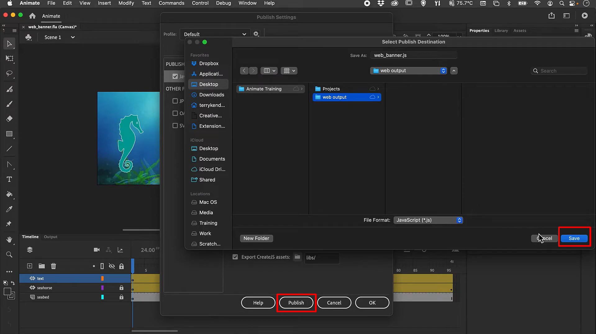 Immagine che mostra le opzioni di pubblicazione per l'animazione in Adobe Animate