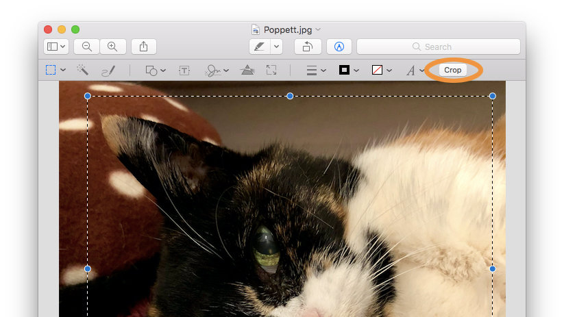 Mac crop image