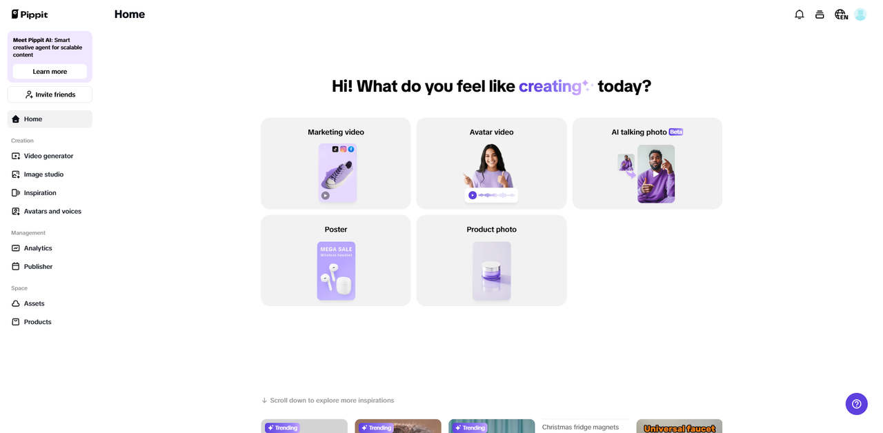 Pippit interface