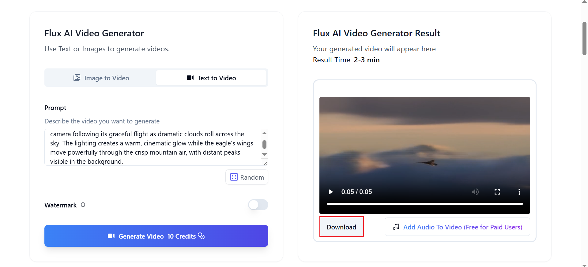 Download your video
