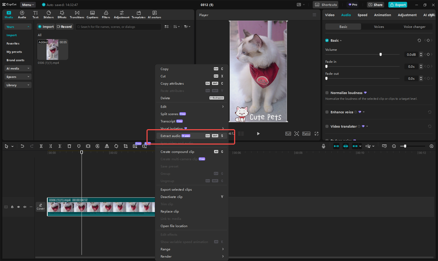 Estrazione audio dal Instagram Reel in CapCut