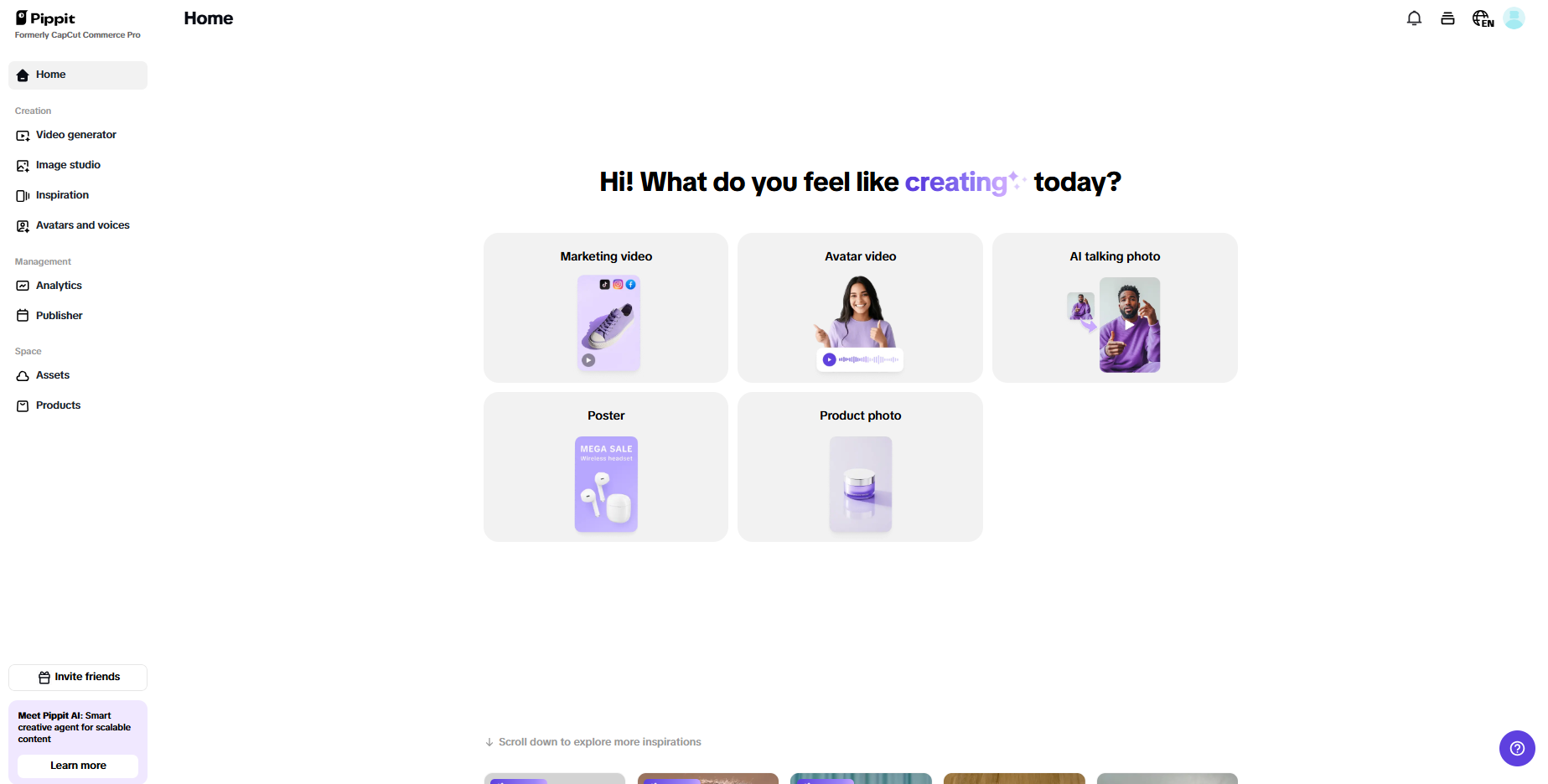 Pippit interface