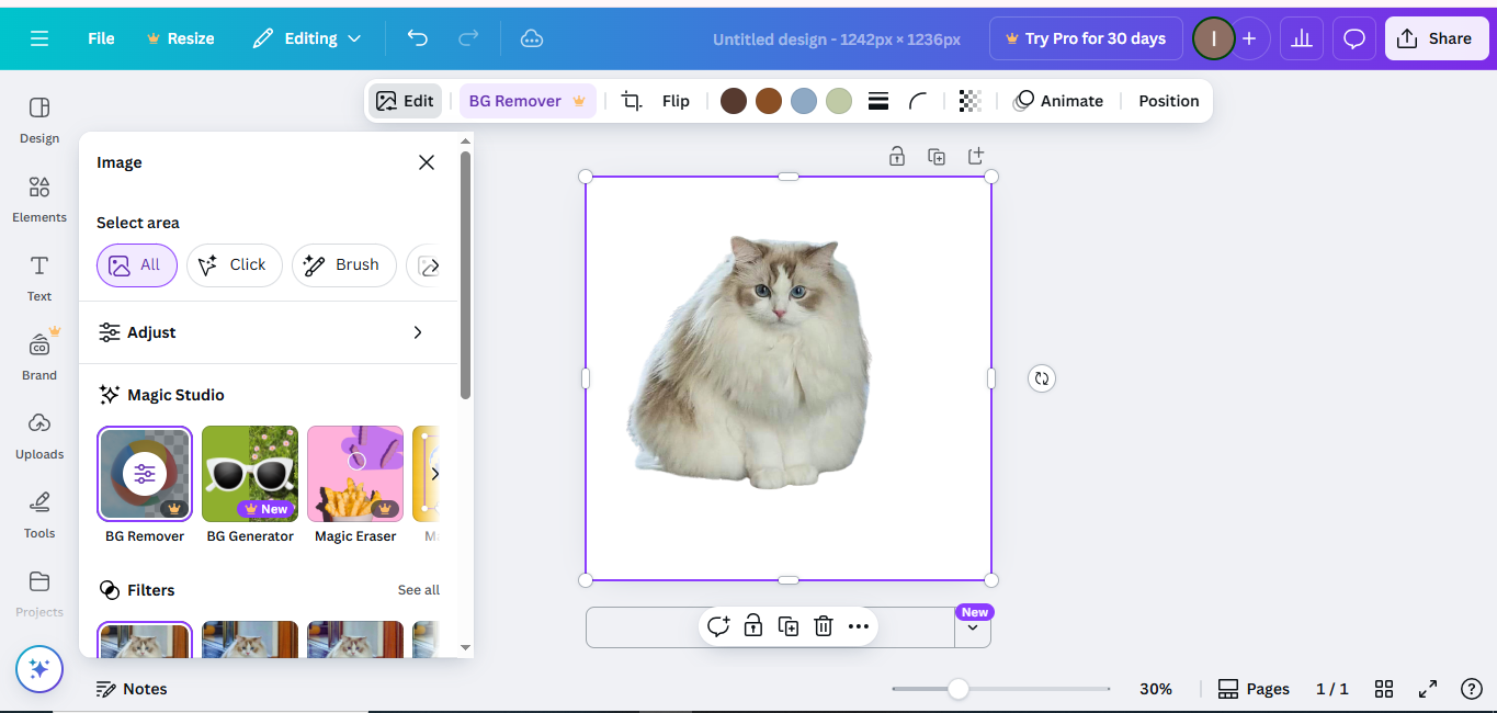 Interface de Canva - le célèbre changeur d'arrière-plan de l'éditeur de photos en ligne gratuit