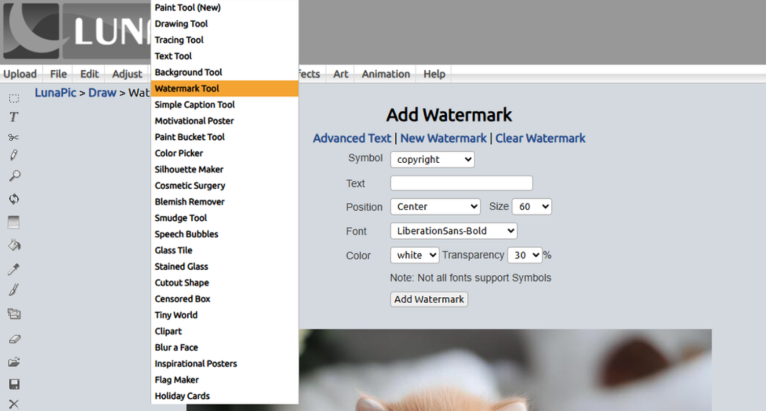 Adding custom watermarks to images in the online LunaPic photo editor