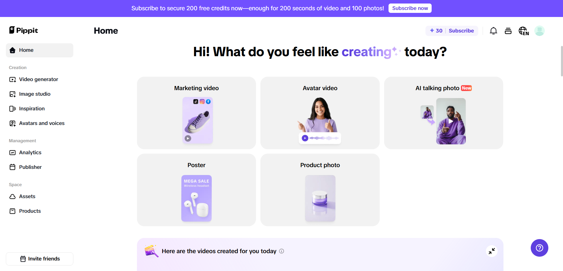 Pippit's interface