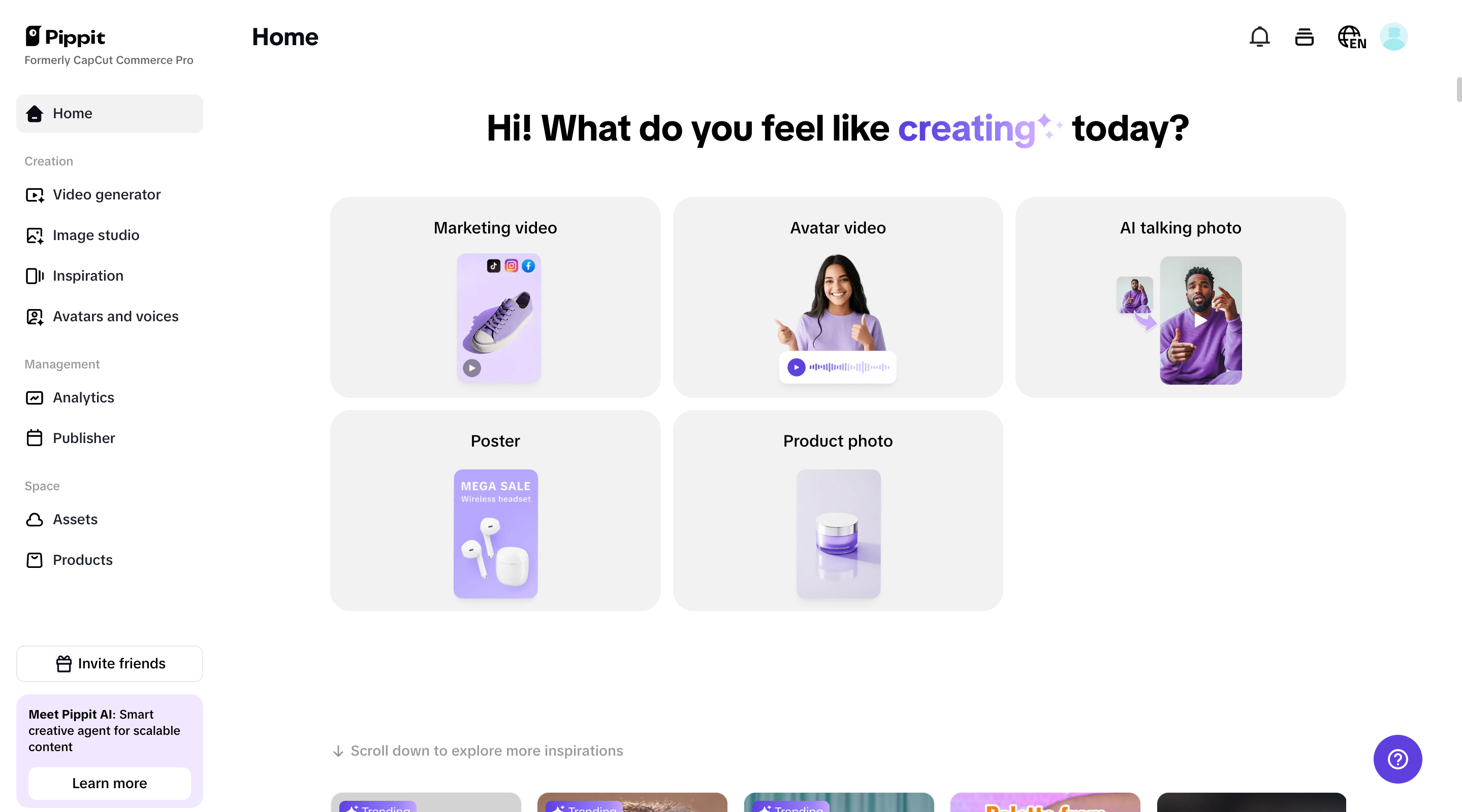 Pippit's homepage