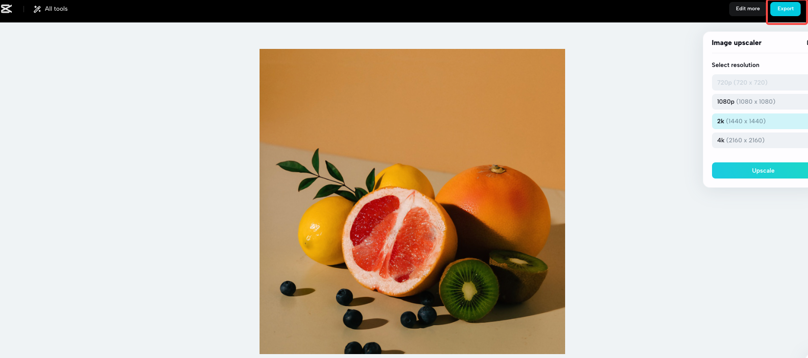 export or download