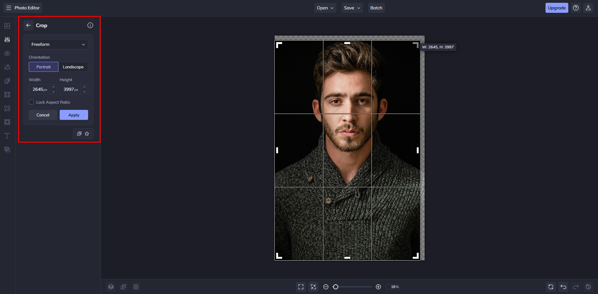 Cropping an image with the BeFunky online photo editor