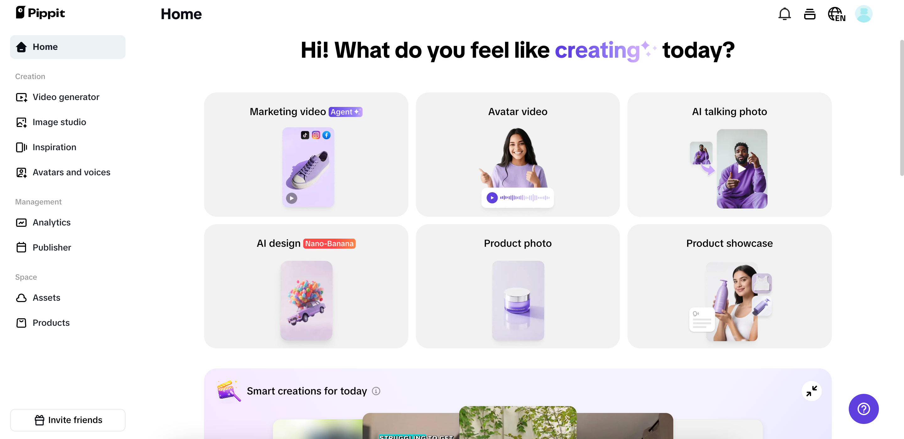 Pippit interface