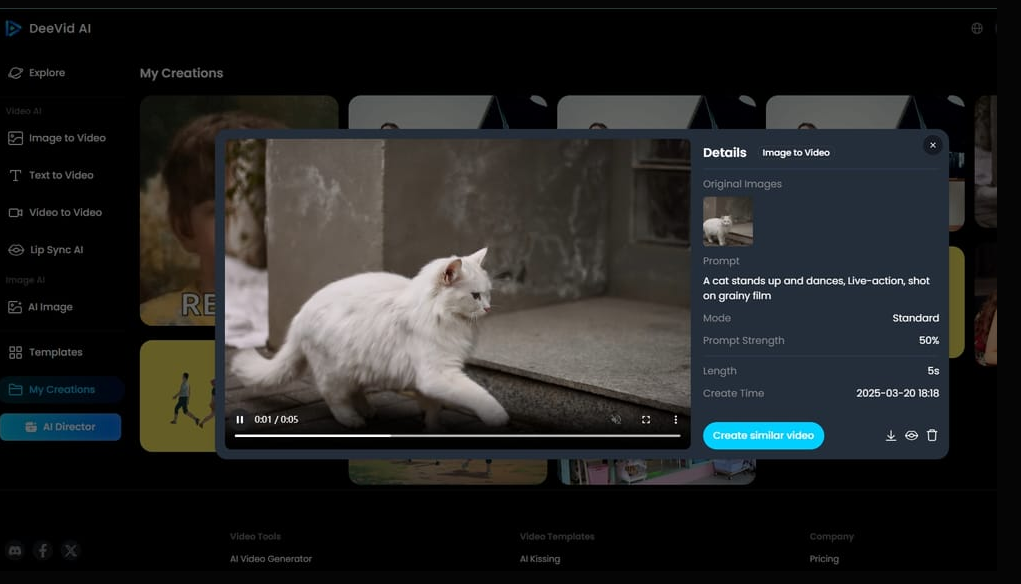 Interface do DeeVid AI - uma ferramenta fácil de usar para converter vídeo em vídeo com IA