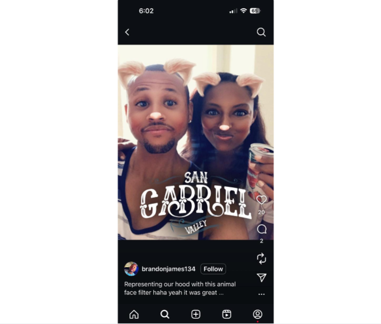 Filtro de troca de animais do Instagram