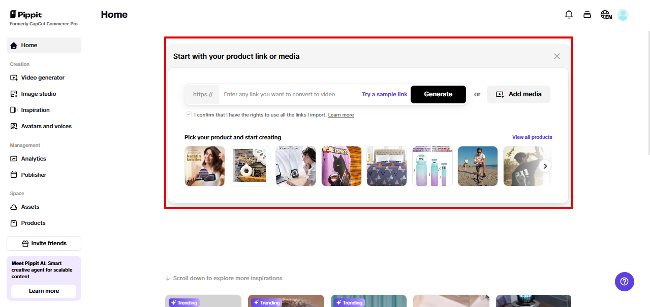 Powerful video solution in Pippit