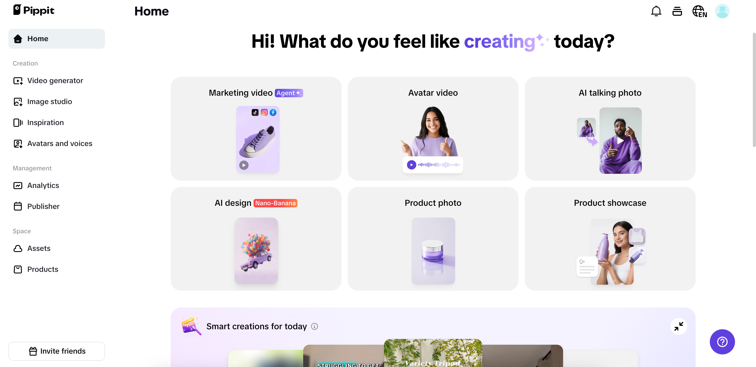 Pippit interface