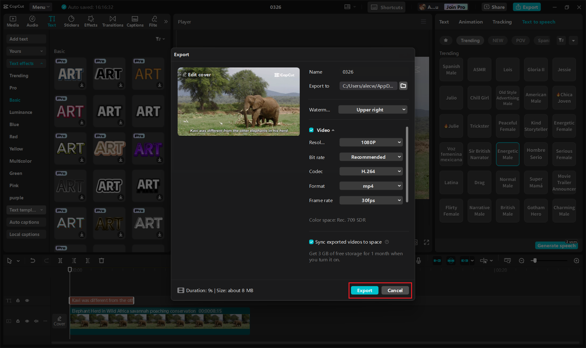 Preview and download