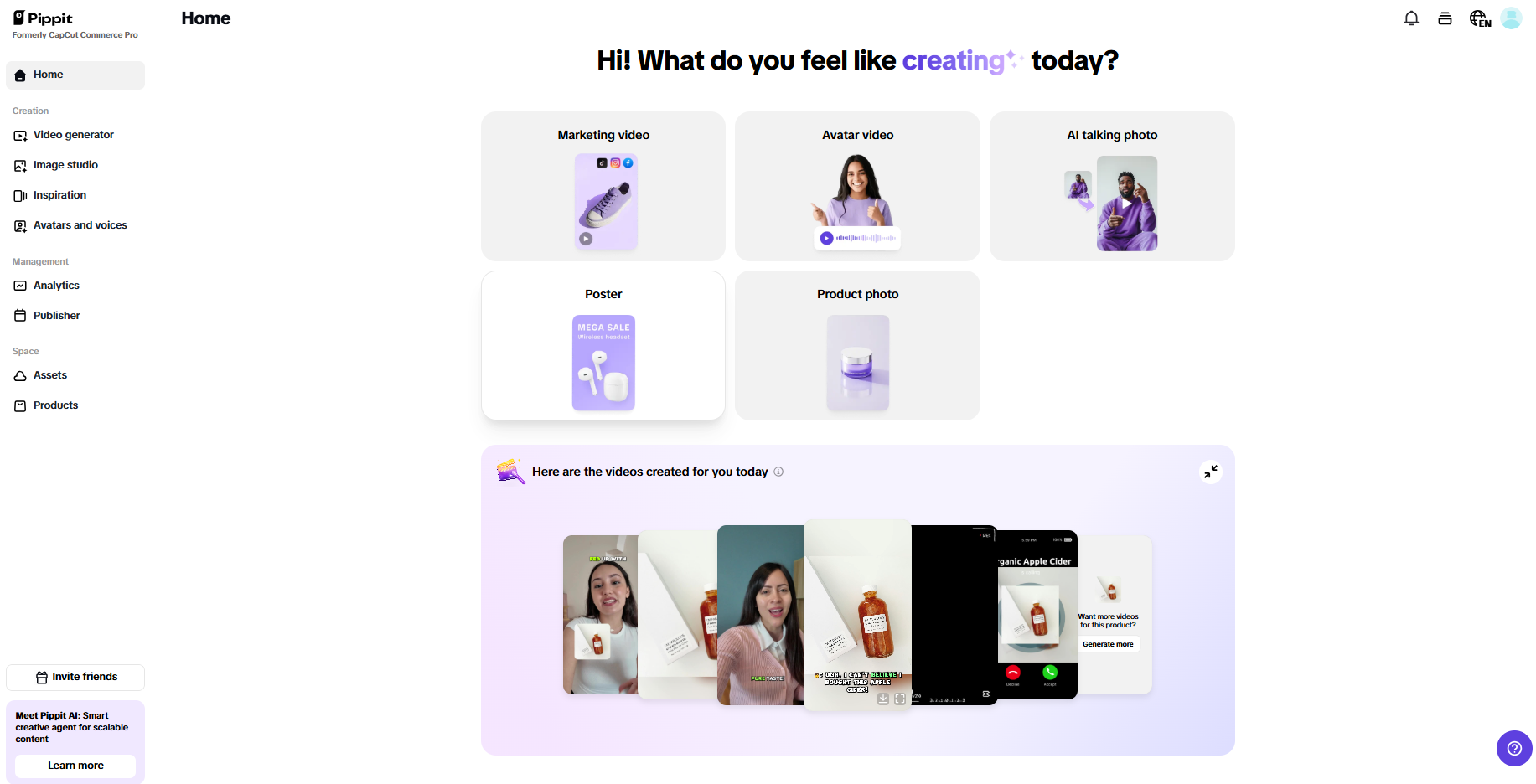 Pippit interface