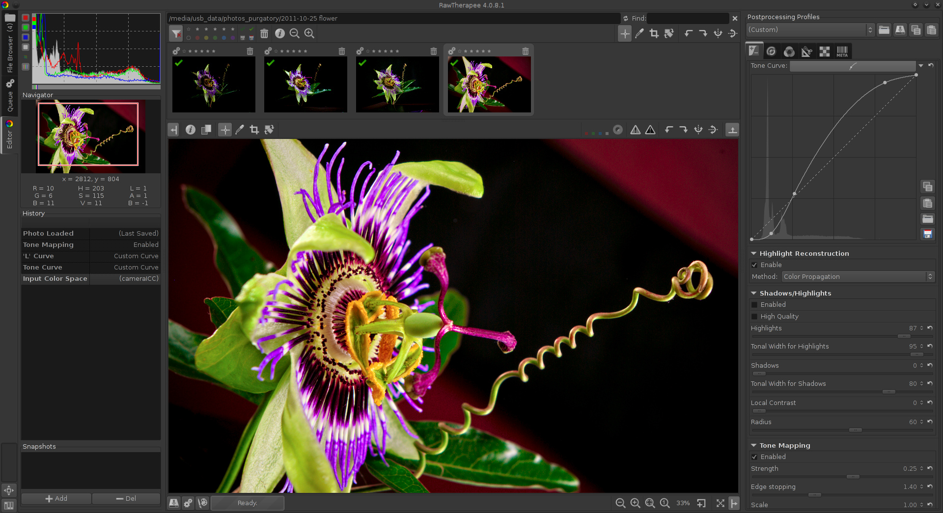 Interface of RawTherapee: — a photo editor for raw files
