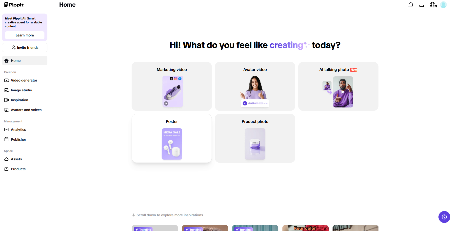 Pippit interface