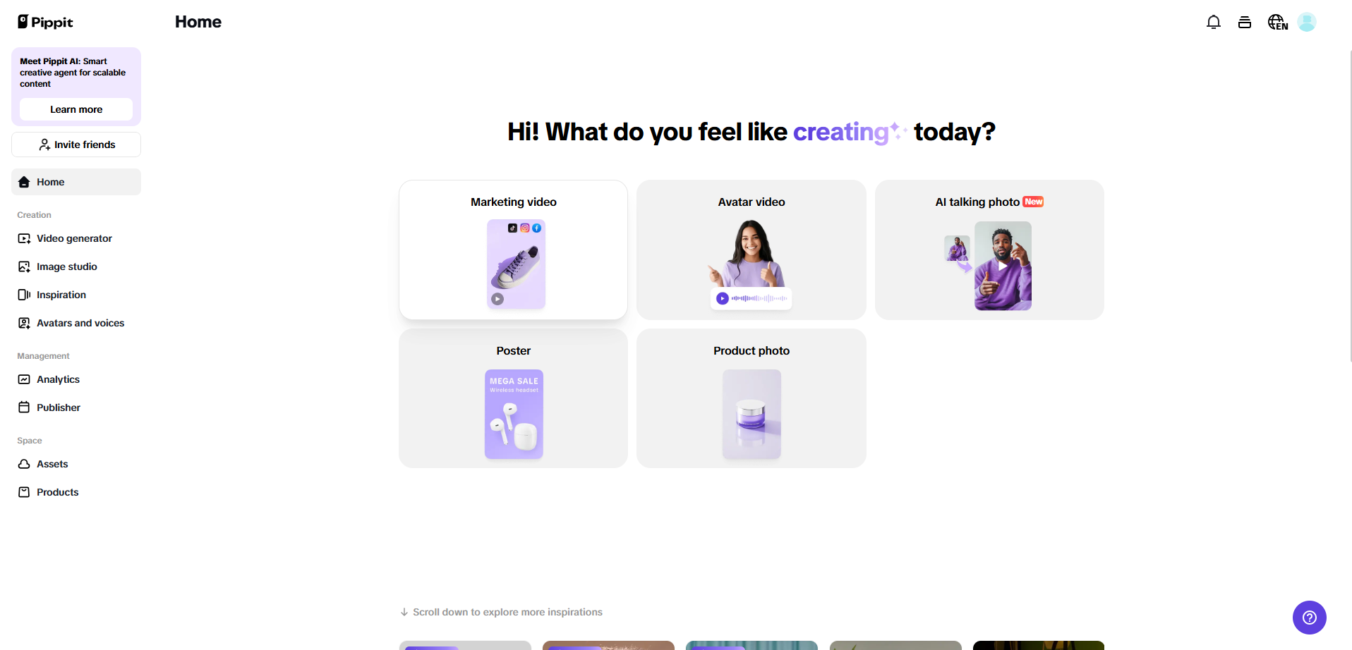 Pippit interface