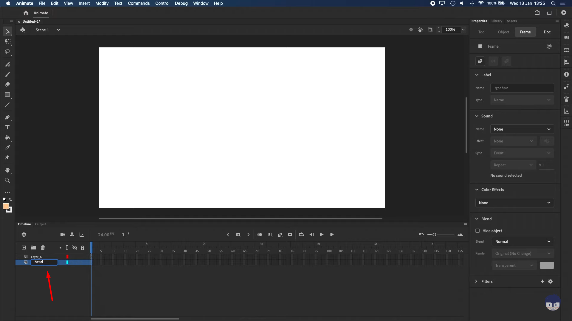 Impostazione dell'area di lavoro per la creazione di animazioni in Adobe Animate CC