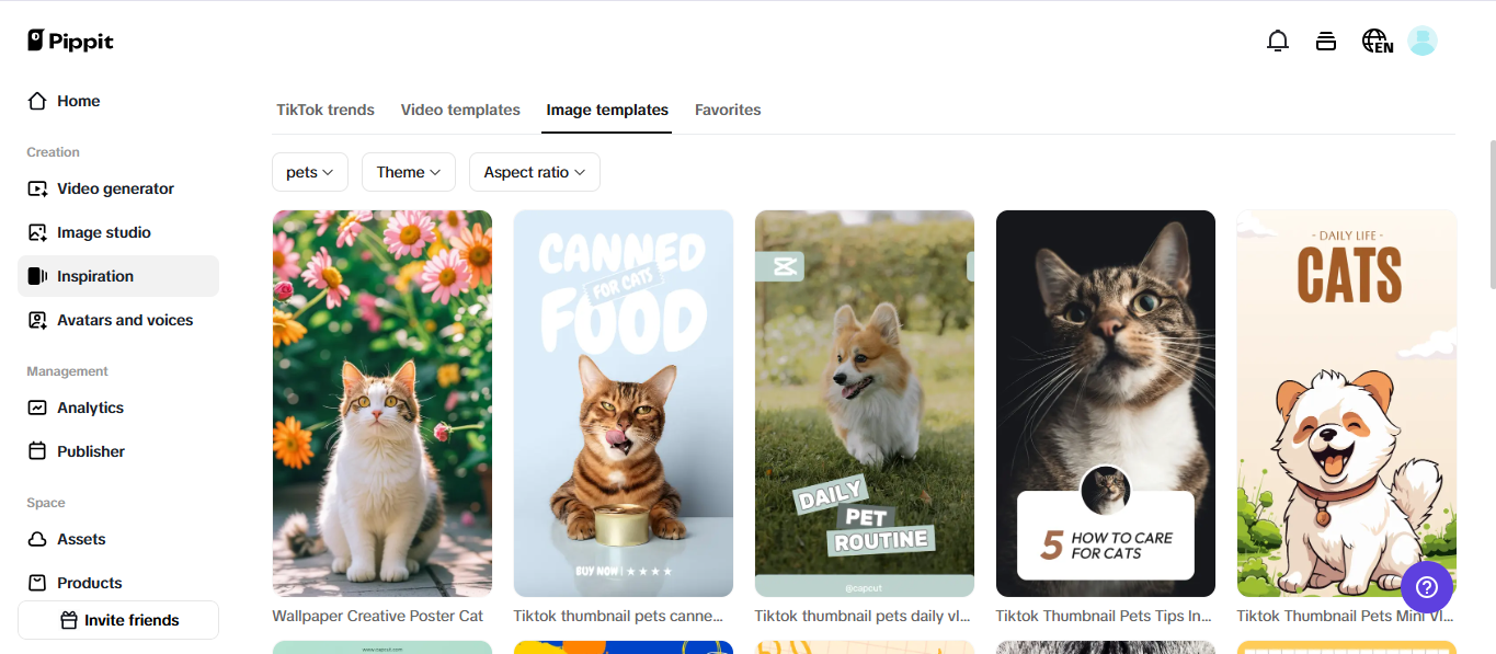 Video and image templates
