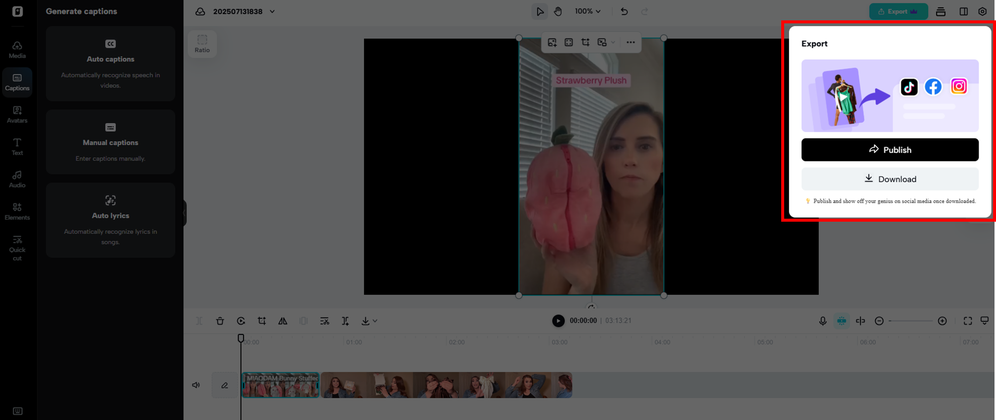 Export your video