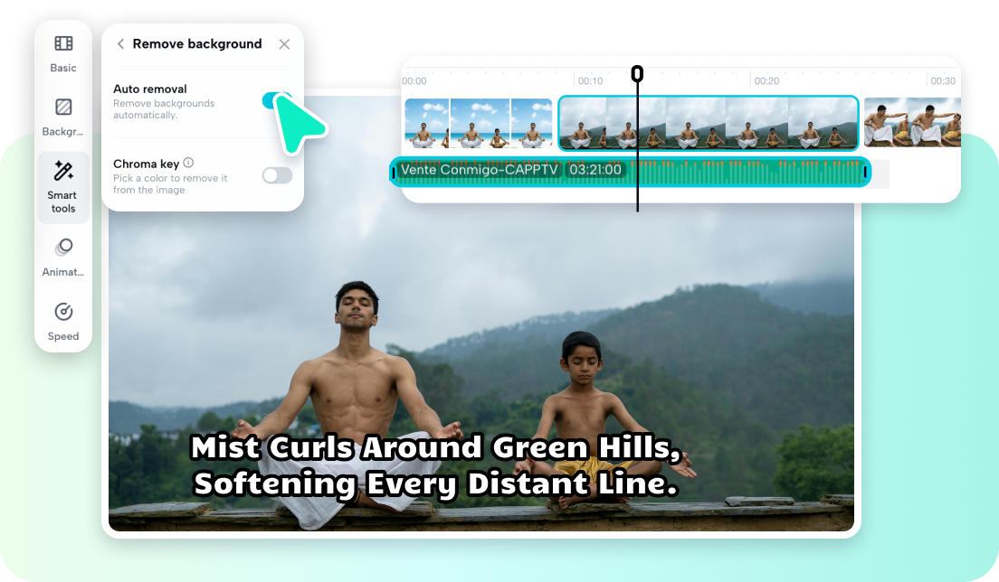 Plan, schedule, and track your social media ads