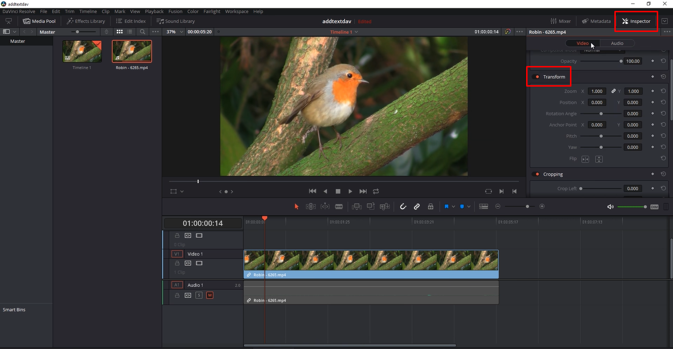 Verwendung des Transformationstools in Davinci Resolve zum Vergrößern von Clips