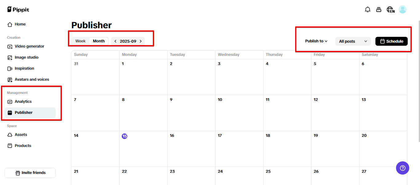 Social media calendar and analytics in Pippit