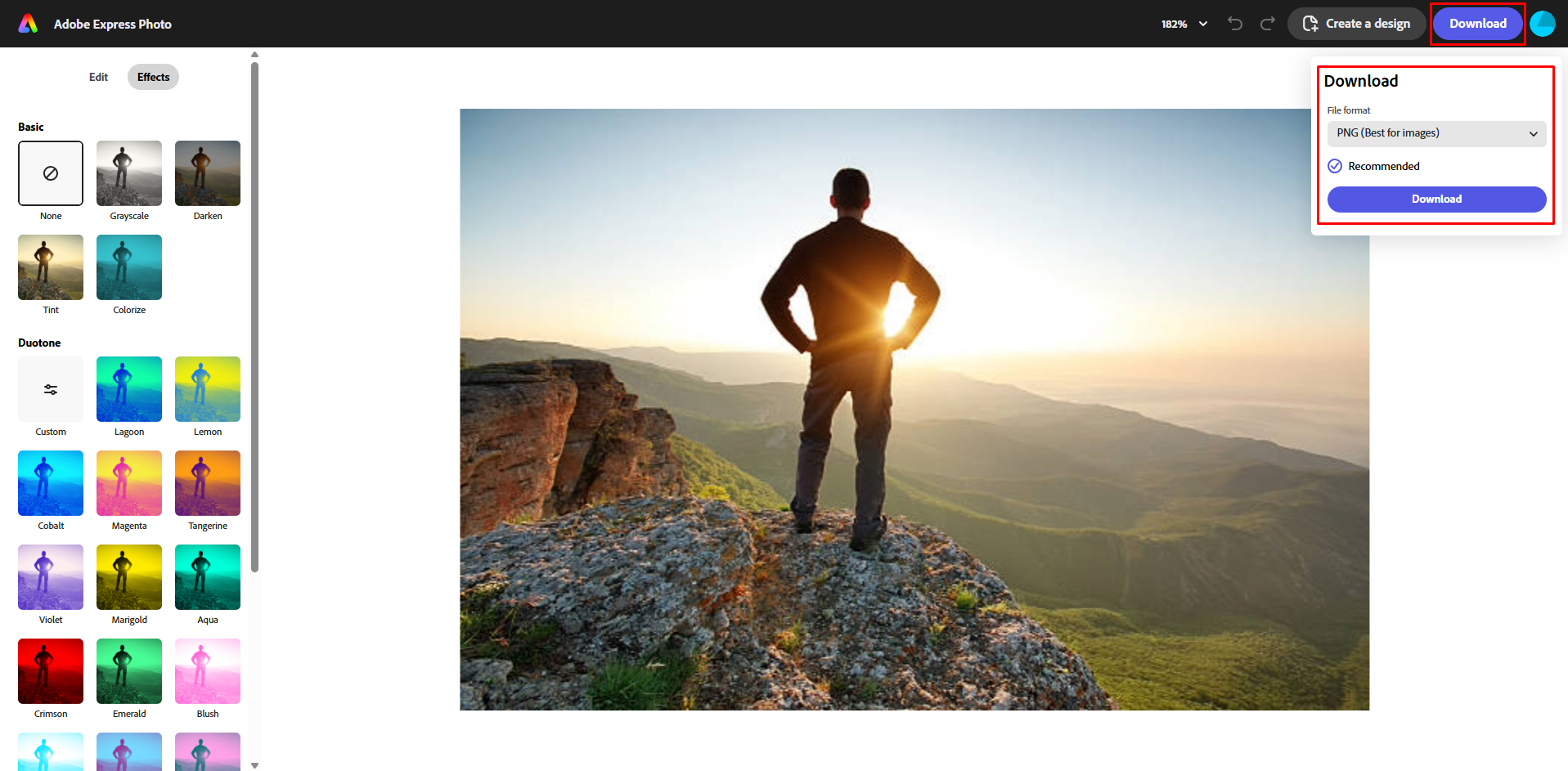 Downloading the image from the Adobe online photo editor