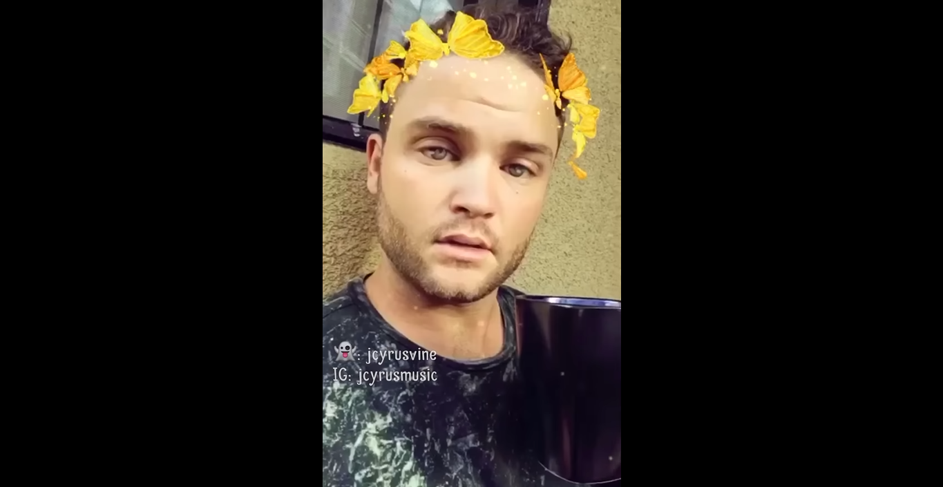 Butterflies crown filter