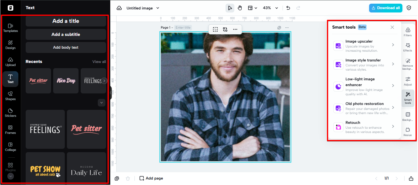 Pippit image editor