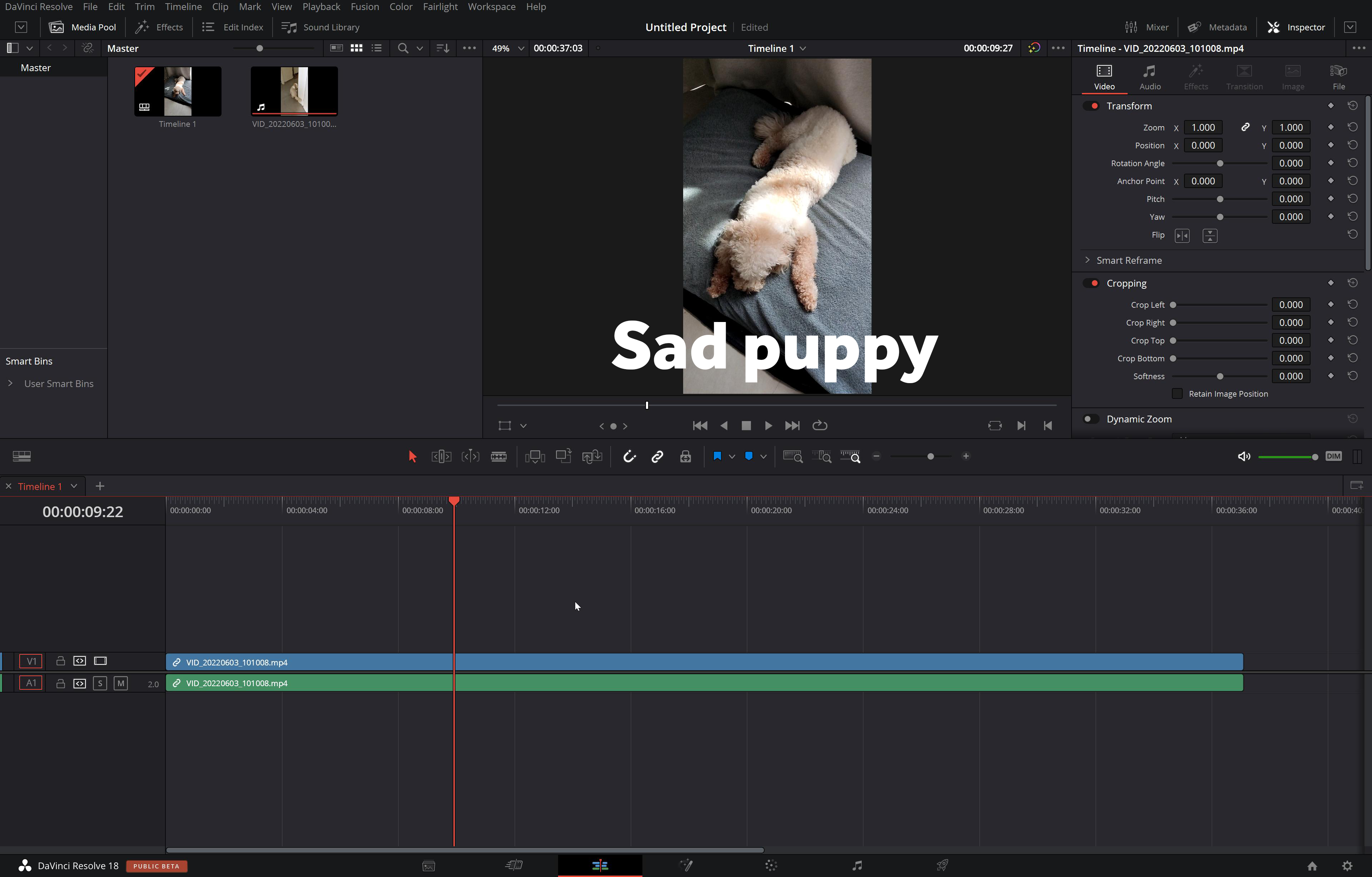 Schnittstelle von DaVinci Resolve - dem kostenlosen Instagram-Reel-Maker für ansprechende Inhalte