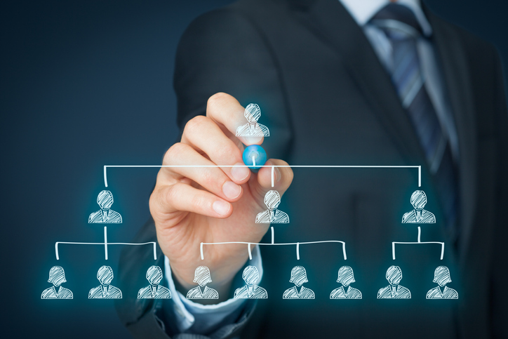Identify the right business vertical