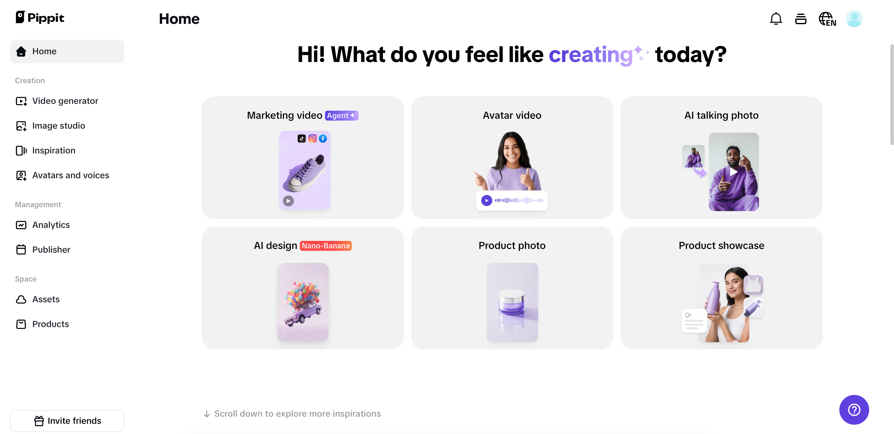 Pippit interface