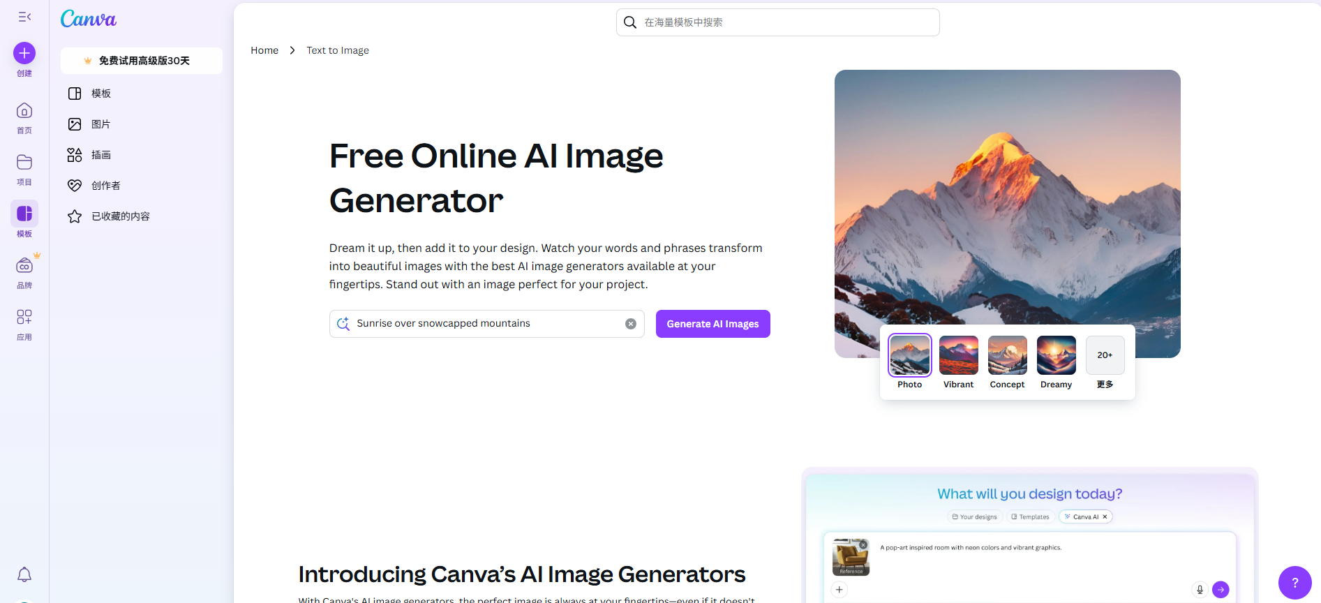 Canva interface