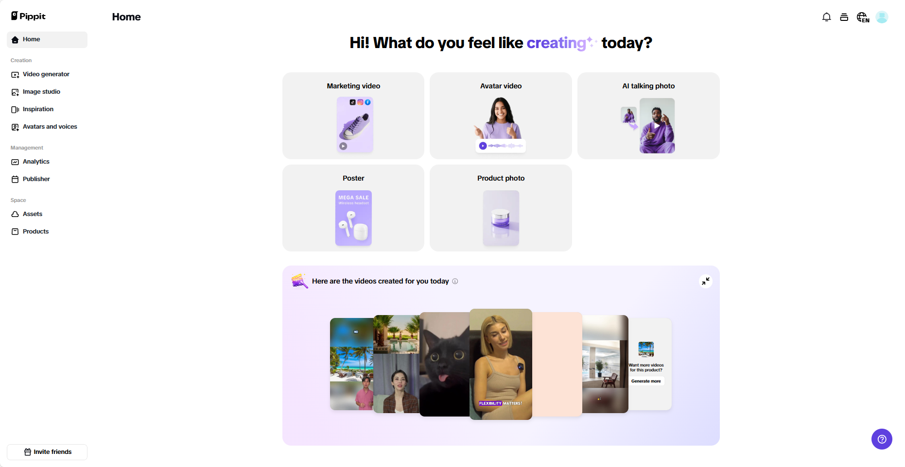 Pippit interface