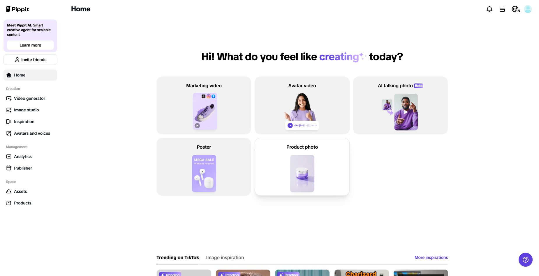 Pippit interface