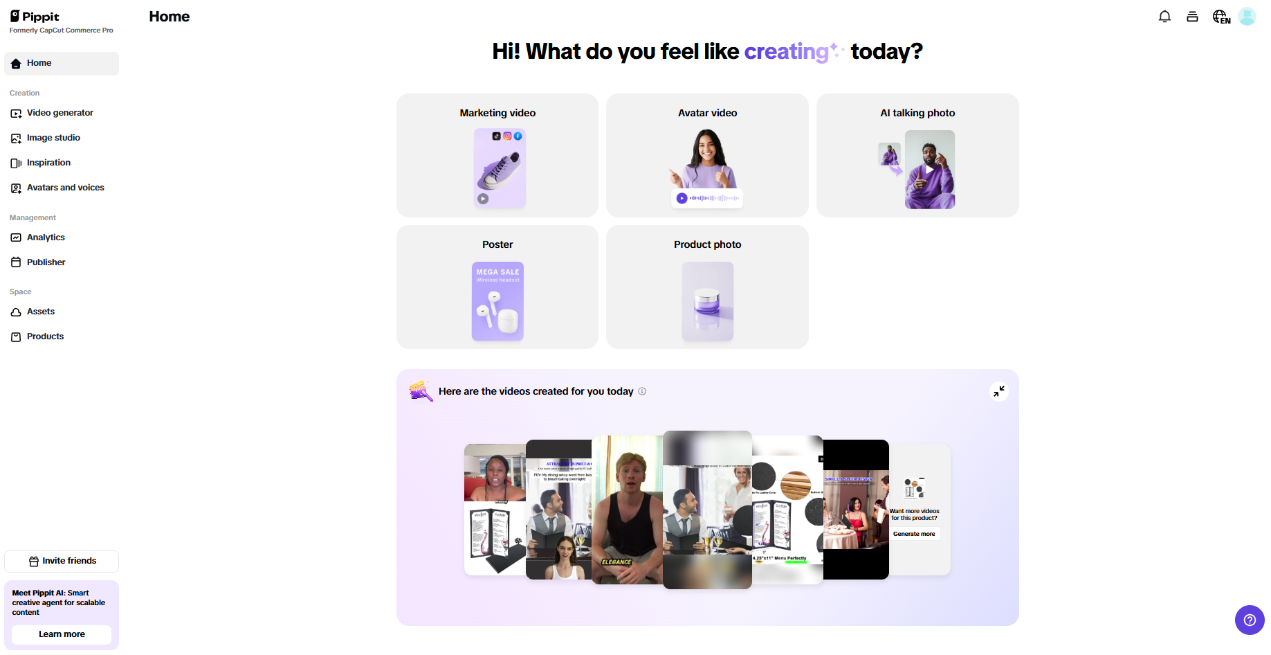 Pippit interface