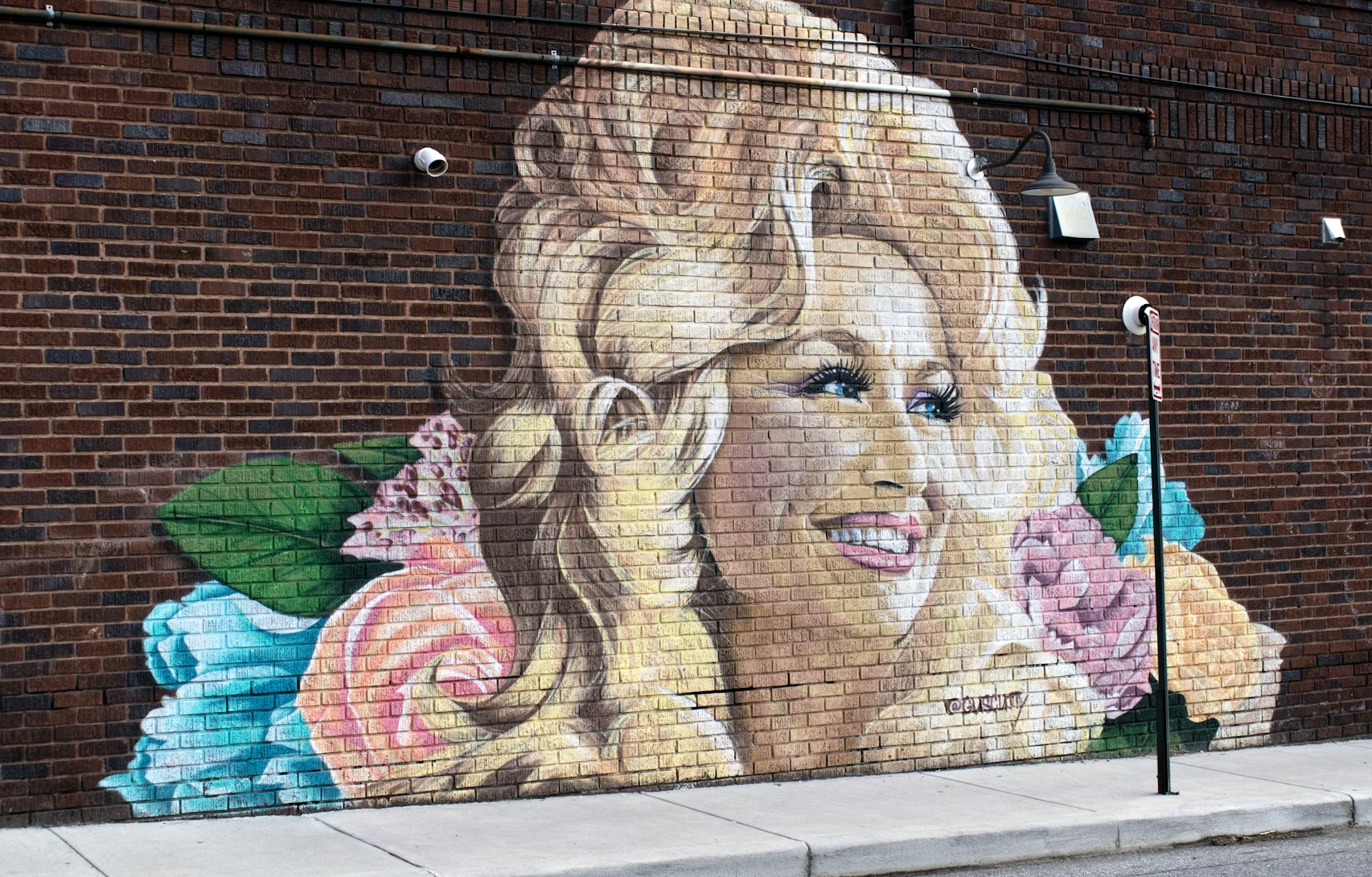 A vibrant and artistic portrait of Dolly Parton, capturing her iconic big hair and radiant smile.