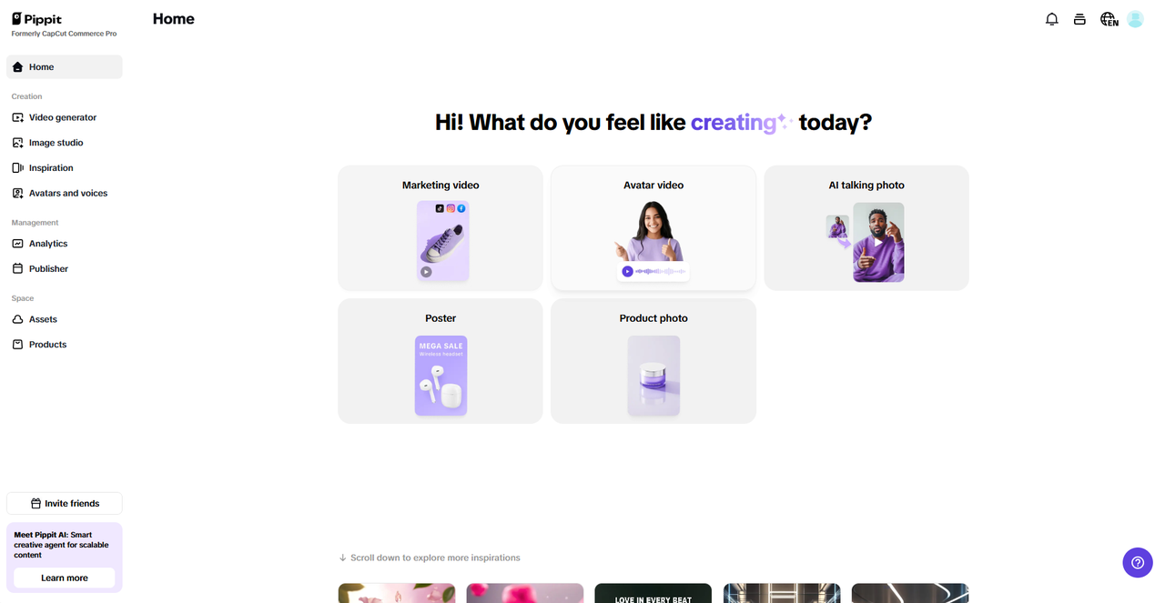 Pippit interface