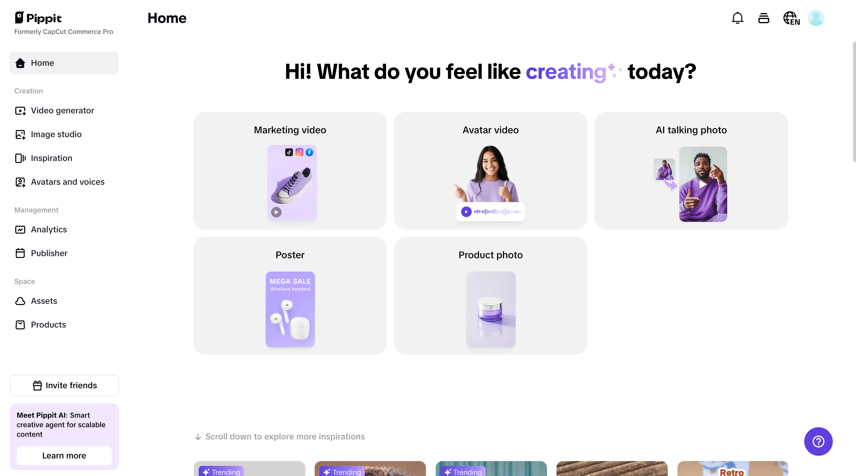 Pippit homepage