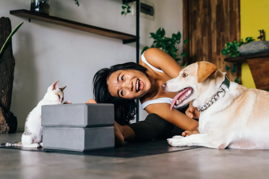 Pet care accessories