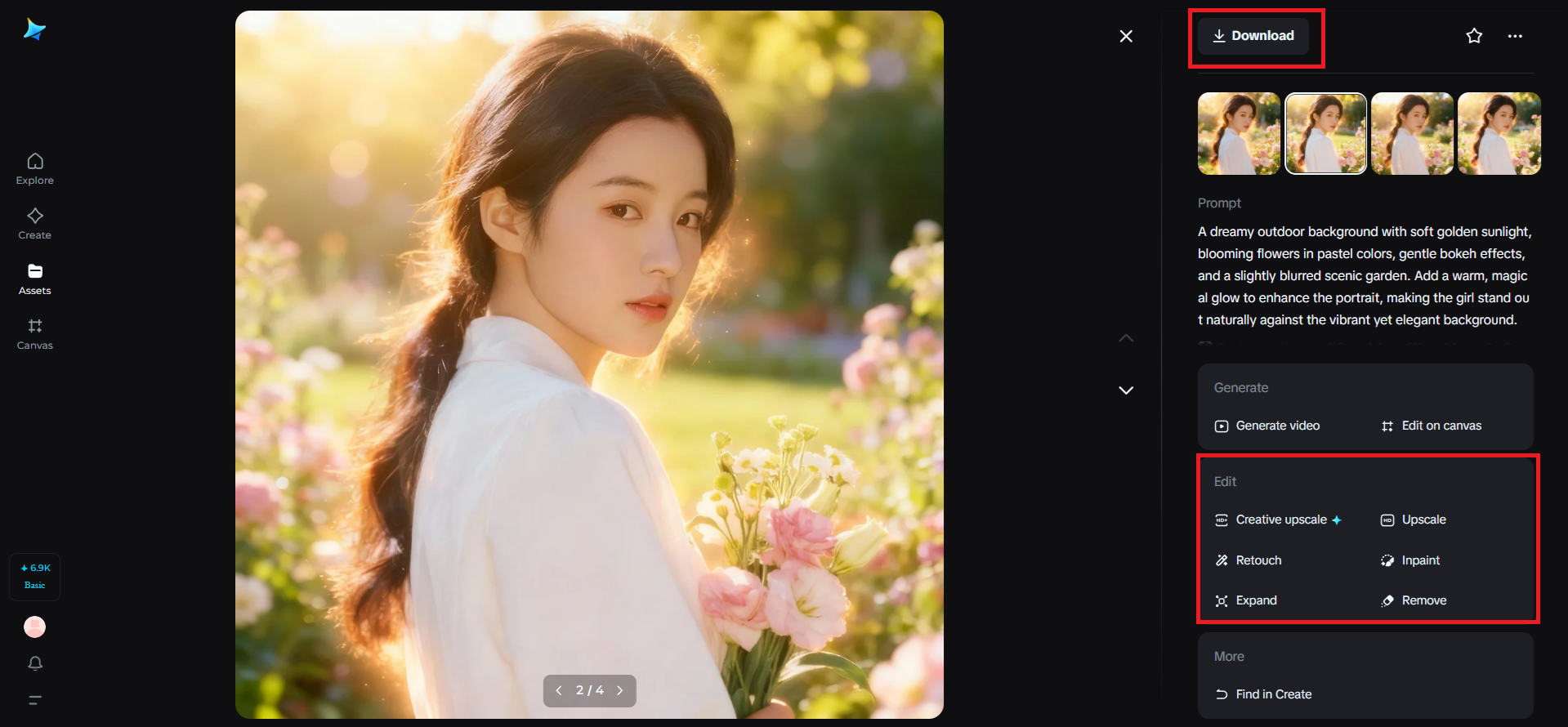 Refine and download your image